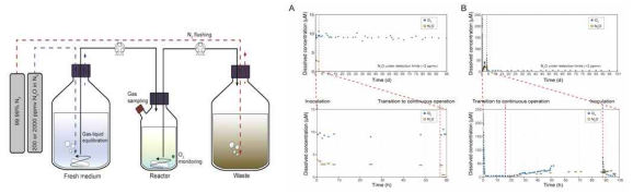 high-affinity N2O 환원 미생물 연속 배양 시스템 (좌), 시간에 따른 반응기 내 N2O 및 용존 산소 농도 모니터링 (우) (15)