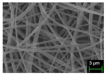 전기방사된 PVDF 나노섬유