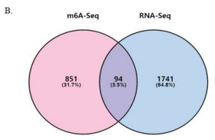 m6A-seq과 RNA-seq 비교를 통해 ALKBH5에 의해 m6A와 alternative splicing이 모두 조절되는 target 발굴