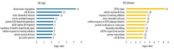 gene ontology 분석