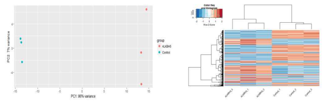 좌 : PCA plot, 우 : Heat map