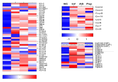 RNA transcriptome 분석을 통한 사이토카인 수용체 발현 비교