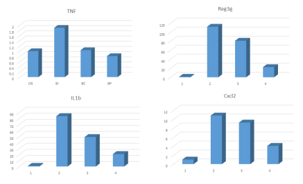 qRT-PCR 분석으로 확인된 Inflammatory와 Immune response에 작용하는 유전자들의 발현 정도에 미치는 Ciprofloxacin and/or Peptide의 유의한 효과