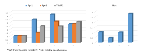 qRT-PCR 분석으로 확인된 Inflammatory response에만 작용하는 유전자들의 발현 정도에 미치는 Ciprofloxacin and/or Peptide의 유의한 효과