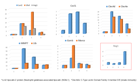 qRT-PCR 분석으로 확인된 Immune response에만 작용하는 유전자들의 발현 정도에 미치는 Ciprofloxacin and/or Peptide의 유의한 효과