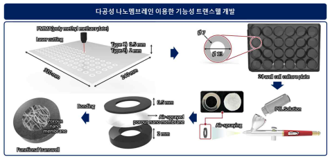 기능성 트랜스웰 개발 모식도