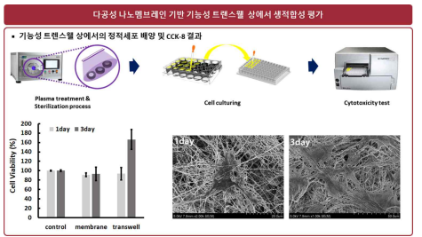 다공성 나노멤브레인을 포함한 기능성 트랜스웰의 생적합성 평가