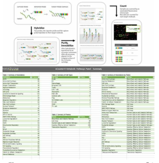 Nanostring Metabolic Pathways Panel 개요