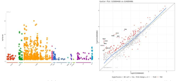 Paired sample 에서의 differentially expressed gene 분석 및 관여 biologic pathway 분석