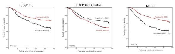MHC class 2, CD8+ TIL, Foxp3발현에 따른 위암 환자의 생존곡선(사전연구결과)