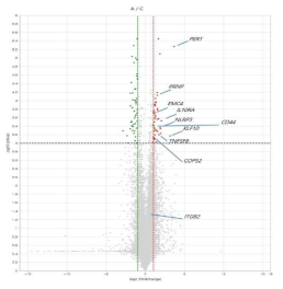 활동성 결핵군과 정상 대조군 간의 mRNA sequencing 분석을 기반으로 한 volcano plot 분석