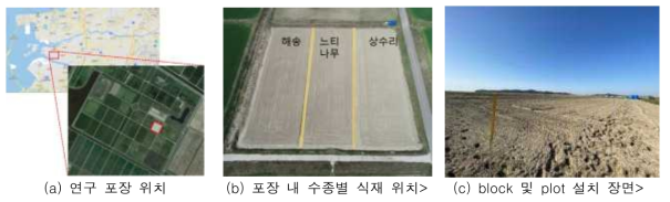 연구포장 위치 및 포장 설계