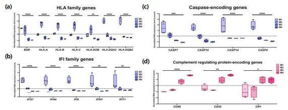 . (a) Tumor thickness가 증가하면서 M1에서 M4로 갈수록 antigen processing 및 presentation에 중요한 역할을 하는 HLA family gene의 expression level이 감소하였음. 특히 그중에서도 cytotoxic T cell activation에 중요한 역할을 하는 MHC class I의 Beta-2 microglobulin (B2M) 의 발현량이 유의미하게 감소함. (b-d) Caspase-encoding genes 및 IFI family genes는 감소하는 양상을 보였고, Complement regulating protein-encoding genes는 점차 증가하는 양상을 보임