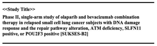 SUKSES-B2 clinical trial