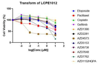 소세포폐암 PDC를 이용한 약물반응성 테스트