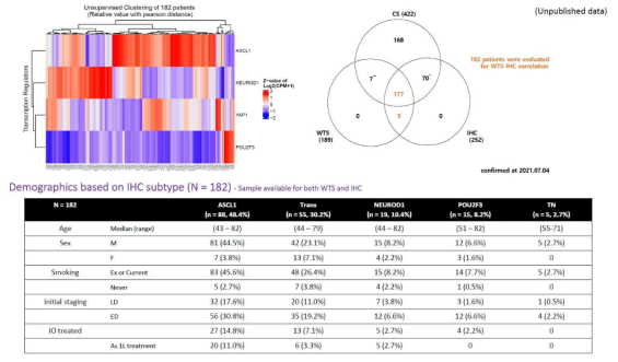 SCLC subtyping