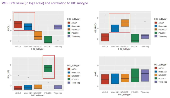 SCLC subtyping에 대한 WTS와 IHC 간의 correlation 확인