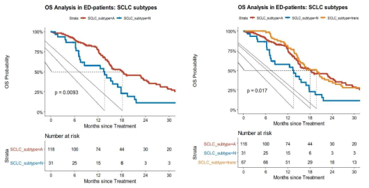 SCLC subtype에 따른 survival 분석