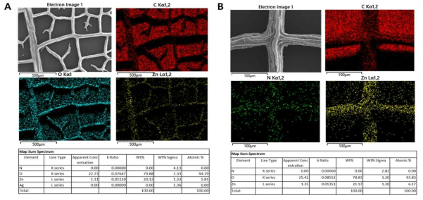 (A)Dry-leaf@PDA에 염처리 방법을 통한 ZnO 나노입자 코팅, (B)Dry-leaf@PDA UV irradiation 방법을 통한 ZnO나노입자 코팅(SEM, EDS 측정)