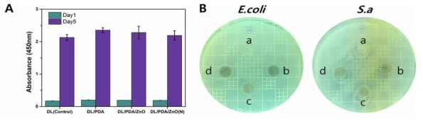 Dry-leaf@PDA/ZnO 시료들의 생물학적 안정성 평가(A), 박테리아 실험 결과(B)