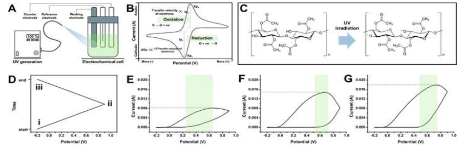 전기화학적 방법을 통한 Cellulose 나노섬유의 Reducing agent로써의 평가