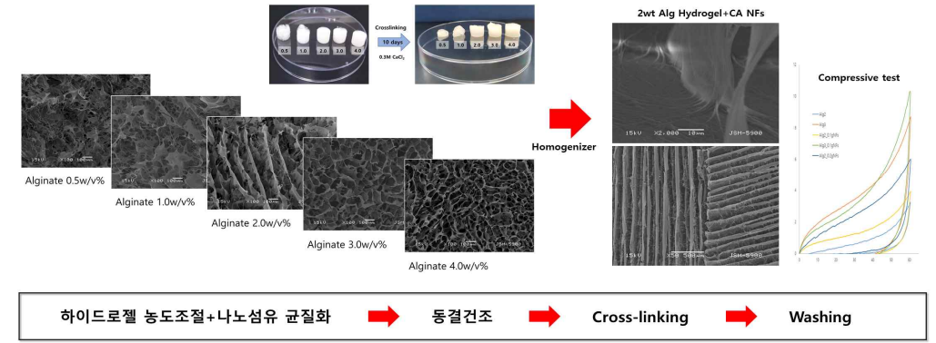 알지네이트 하이드로젤 Cellulose 나노섬유 지지체 제작 및 특성 분석