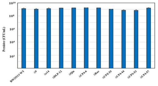 Cryptic prophages do not affect persister cell formation. Persister cell formation was determined by growth on LB plates after 1 day. These results are the average of two independent cultures, and error bars indicate standard deviations