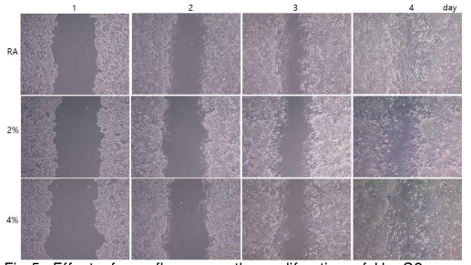 Effect of sevoflurane on the proliferation of HepG2