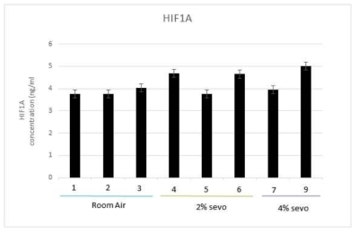 HIF-1A ELISA exam of HepG2 tumors