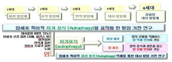 암세포 특이적 autopahgy를 타겟으로 하는 강화된 4세대 대사항암제 연구