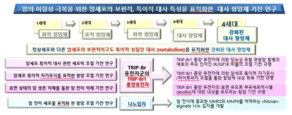 4세대 대사 항암제 개발 기전 모델