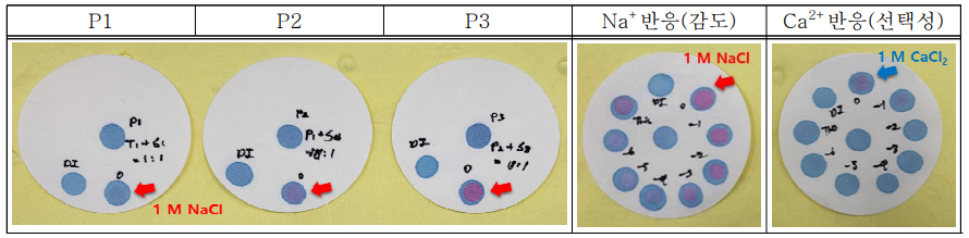 P1, P2, P3 조건 DI, 1M NaCl에 대한 변색 반응 실험, 종이에서의 변색 감도 및 선택석