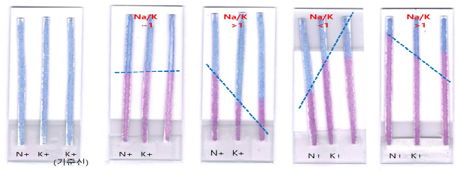 Na+/K+ 비 평가 기준
