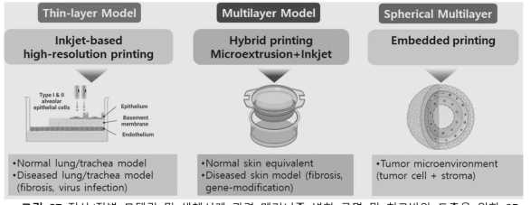 정상/질병 모델링 및 생체시계 관련 메커니즘 변화 규명 및 치료방안 도출을 위한 3D 바이오프린팅 기반 모델 연구의 확장 개념도