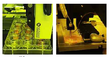 Pneumatic microextrusion printing (Right) Piezoelectric inkjet printing