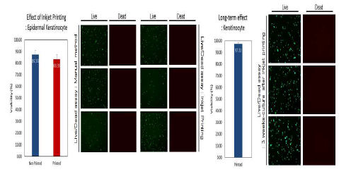 (Left) Post-printing viability (Right) Long-term viability after printing