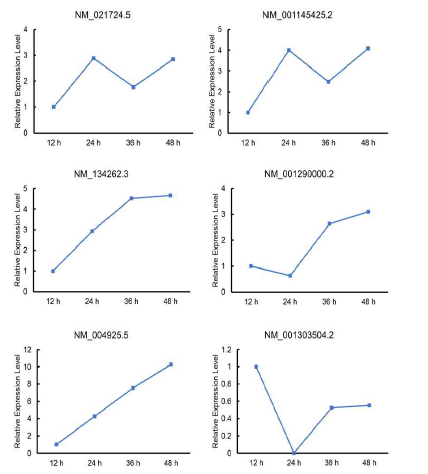 (上) Lipid/glucose metabolism 유전자, (中) functional recepter 관련 유전자 (下) 주요 질병 관련 유전자들의 시간대별 발현 변화