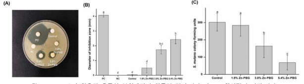 Zn-PBG이 함유된 유동성 복합레진의 항균력 결과: (A) 디스크 확산검사 사진, (B) 디스크 확산검사 직경 및 (C) 균 집락 형성 이미지