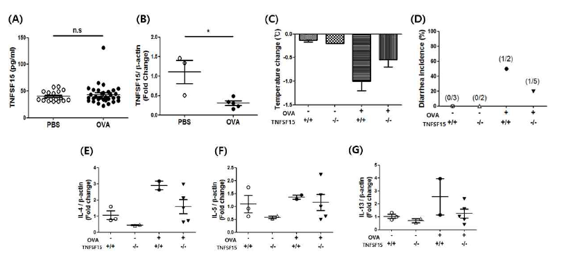 식품알레르기 마우스 모델에서 TNFSF15의 역할 확인. 식품 알레르기를 유도한 야생형 모델에서 TNFSF15 발현량을 (A) 혈청에서 ELISA로 (B) 소장에서 RT-PCR로 확인함. 식품 알레르기를 유도한 TNFSF15 결핍 마우스 모델을 사용하여 (C) core temperature와 (D) diarrhea score를 확인함. (E-G) 소장에서 IL-4, IL-5, IL-13 mRNA 발현량을RT-PCR로 확인함