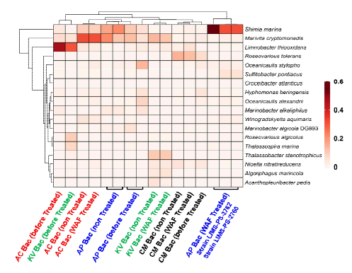 각 시료별 세균군집조성(종 수준) 비교하기 위한 heatmap. 그림 상단의 dendrogram은 세균군집간 유사도를 분석하기 위한 Cluster 분석 결과임
