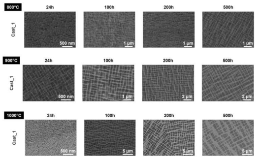 Cast_1 합금을 각각 800도, 900도, 1000도에서 24시간, 100시간, 200시간, 500시간 동안 aging 한 후의 SEM 이미지