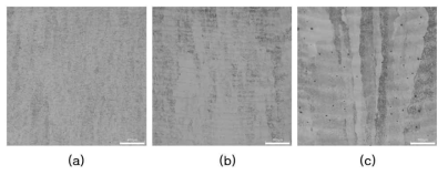 Microstructures of 3D printed Ti-6Al-4V at (a) 40 W, (b) 80 W, and (c) 120 W