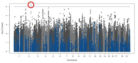 염증성장질환자의 중증도에 따른 GWAS-ASA-Immunochip meta 결과