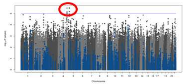 염증성장질환자의 중증도에 따른 GWAS-ASA meta 결과