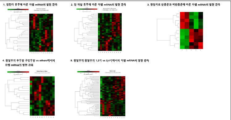 암환자 분류특성에 따른 miRNA 스크리닝 (Nanostring 분석)