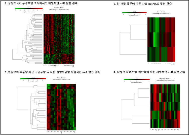 암조직 vs 액체생검의 분류특성에 따른 차별적 miRNA 관측