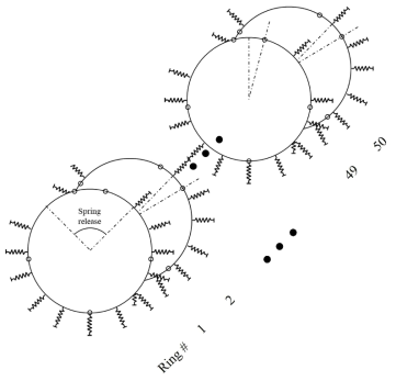 Conceptual diagram of multi ring beam-spring model