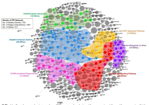 Protein-protein Interaction (PPI) network of the [Common in All] + [Common in DM]+ [Common in DM & Non-DM After Initiation] combination DEG dataset showing Top 6 modules based on Informap clustering algorithm. Module name was based on ORA analysis of each module