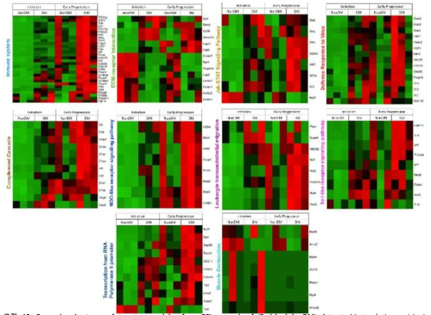 Expression heatmap of top ten modules from PPI network of ‘Enriched in DM’ dataset. Most of the enriched pathways are related to immune cell signaling cascades