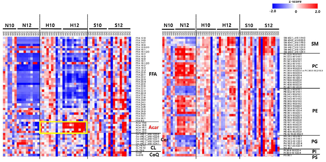 Liver lipid 그룹비교 Heatmap